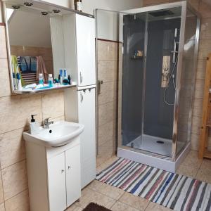 ein Bad mit einem Waschbecken und einer Dusche in der Unterkunft Ubytování Na statku in Stará Červená Voda