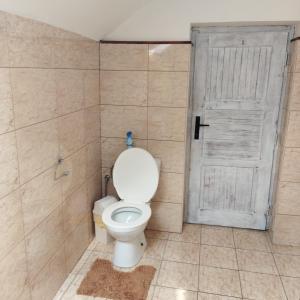 a bathroom with a white toilet and a door at Ubytování Na statku in Stará Červená Voda