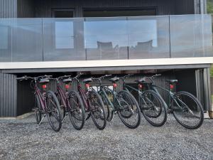 une rangée de vélos garés devant un bâtiment dans l'établissement Villa Walter Lofoten with jacuzzi, à Kvalnes