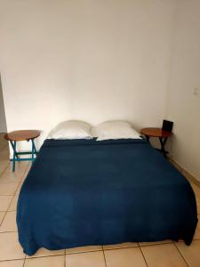 Tuilerie Dream blue Trois ilets anse mitan tesisinde bir odada yatak veya yataklar