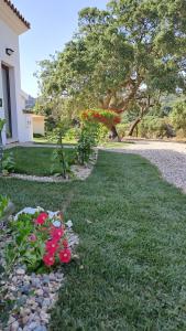 un jardín con flores rojas en la hierba en B&B La Chintina, en Sant'Antonio di Gallura