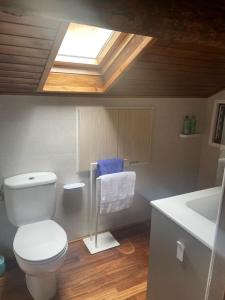 uma casa de banho com um WC, um lavatório e uma clarabóia em APARTAMENT BETTY em Sort