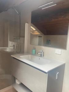uma casa de banho com um lavatório branco e um chuveiro em APARTAMENT BETTY em Sort
