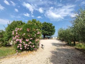 Fotografie z fotogalerie ubytování Casa Vacanze "Dimora Quercia" - Villino "Quercia" v destinaci Montefalco