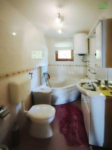 e bagno con servizi igienici, vasca e lavandino. di Villa Milosavljevic a Banja Koviljača