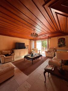 辛特拉的住宿－Casa de Santo Amaro，大型客厅设有木制天花板