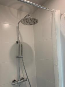 eine Dusche mit Duschvorhang und Duschkopf in der Unterkunft Maison de Village Vexin site classé 1h Paris et Normandie grand jardin in Reilly + 17 Fotos