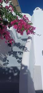 a bunch of flowers hanging from the side of a building at Aidos Villa Santorini in Megalokhori