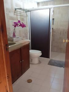 a bathroom with a toilet and a sink and a shower at Casa Calis Cancún in Cancún