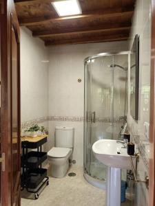 y baño con ducha, aseo y lavamanos. en A casa do Porto, en Valdoviño