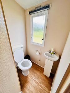 een kleine badkamer met een toilet en een wastafel bij Lola’s Caravan. Your home away from home. in Parkeston