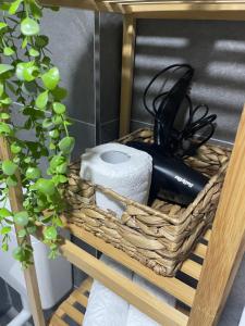 um cesto com papel higiénico e um aparelho preto em Damade apartments em Jajce