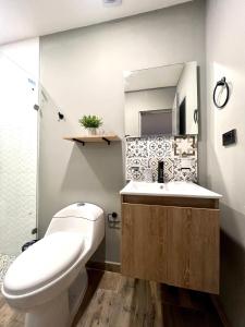 bagno con servizi igienici, lavandino e specchio di Lujoso Apto Barrio Ingenio Pago X Nequi o Bancario Unicamente a Cali