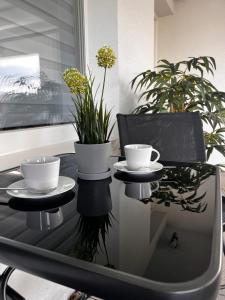 une table en verre avec deux tasses et des plantes dessus dans l'établissement Am Berg, à Feldberg