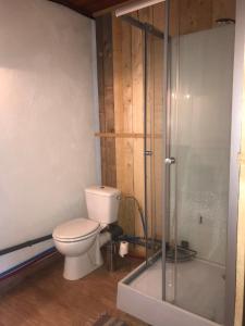 a bathroom with a toilet and a shower at Le refuge du berger in Choux