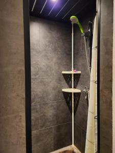 a shower with a shower head in a bathroom at Hengelhoef Berk 5 in Houthalen-Helchteren