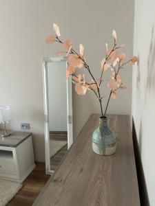 Fotografie z fotogalerie ubytování Apartman Teodora v destinaci Subotica