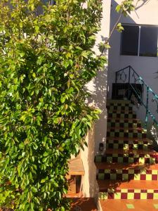 Foto sihtkohas Mesa Colorada asuva majutusasutuse Hotel JADE galeriist