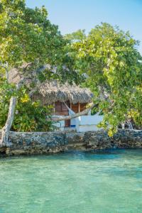 Isla del PirataにあるHotel Isla Del Pirataの水辺の家