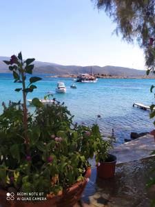 widok na zbiornik wodny z łodziami w nim w obiekcie Island Apartments w mieście Psili Ammos