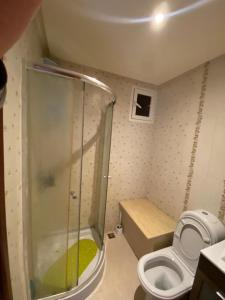 a small bathroom with a shower and a toilet at appartement rabat agdal in Rabat