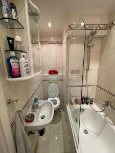 Hause münchen comfort! في ميونخ: حمام صغير مع مرحاض ومغسلة