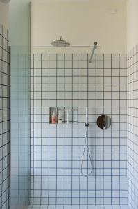 Beau Rivage - Suite Apartment in villa في سانتاركانجيلو دي رومانيا: حمام به دش وبه جدران من البلاط الأزرق