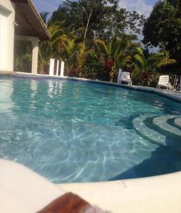 a swimming pool with blue water and palm trees at Aqua Studio 6 in Negril