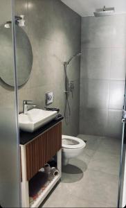 een badkamer met een wastafel, een douche en een toilet bij Appartement Duplex Marrakech in Marrakesh