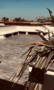 マラケシュにあるAppartement Duplex Marrakechの屋根の植物