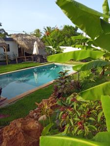 una piscina en un complejo con plantas verdes en BUNGALOWS COLIBRI, en Las Galeras