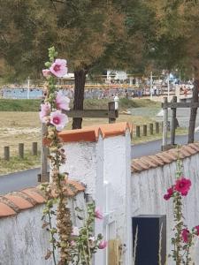 a white fence with pink flowers growing on it at Huitres et mer in Marennes