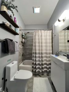 W łazience znajduje się toaleta, umywalka i prysznic. w obiekcie Luxury Historic Shotgun Home in Lower Garden District w Nowym Orleanie
