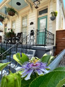 Balkon atau teras di Luxury Historic Shotgun Home in Lower Garden District
