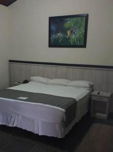 a bedroom with a bed with a picture on the wall at Hotel Brisa do Japi in Cabreúva