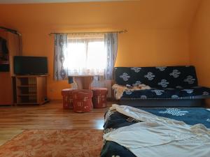 a living room with a couch and a window at Pokoje u Joanny in Ząb