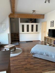 Televízia a/alebo spoločenská miestnosť v ubytovaní Vienna Canaletto Apartments Wien