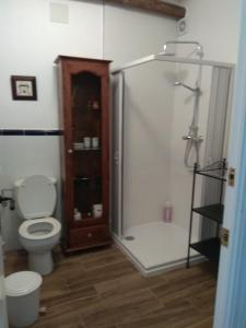 a bathroom with a toilet and a shower with a glass door at El Regocijo Bajo in Oliva de la Frontera