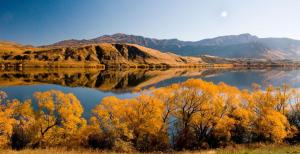 a view of a lake with trees and mountains at Tussock Cottage in Queenstown