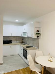 Kuchyň nebo kuchyňský kout v ubytování Apartman Mihajlo