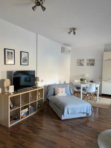 Televízia a/alebo spoločenská miestnosť v ubytovaní Vienna Canaletto Apartments Wien + 22 fotografií