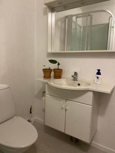 een badkamer met een wastafel, een toilet en een spiegel bij Cosy house near airport in Sørvágur +7 foto's