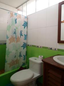 a green and white bathroom with a toilet and a sink at Casa Amarello in Lima