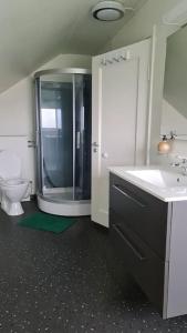 a bathroom with a shower and a toilet and a sink at Cosey 1 bedroom loft with free parking in Stavanger