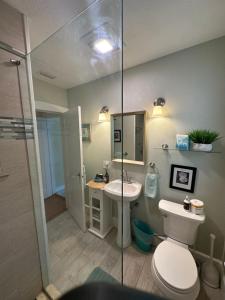 a bathroom with a toilet and a sink and a shower at PAG Beachhouse Rentals in St Pete Beach