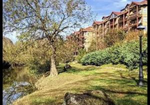 a building with a tree next to a body of water at Bill’s On Little Pigeon River in Pigeon Forge