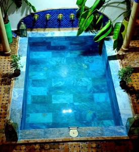 ein Pool mit Fisch im Wasser in der Unterkunft Riad Rêve d Antan in Marrakesch