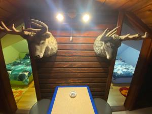 a room with two deer heads on the wall at Cabană cu teren de tenis in Băniţa