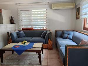 - un salon avec deux canapés bleus et une table dans l'établissement Authentic Flat on the Castle Road with a View, à Alanya