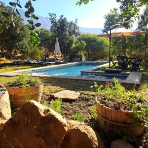 a swimming pool in a yard with some rocks at Wine Lodge de Viña Vultur en bosque nativo con piscina in Doñihue
